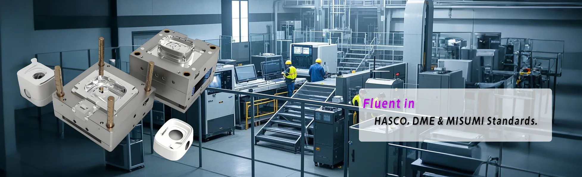 Fluent in HASCO, DME & MISUMI Standards